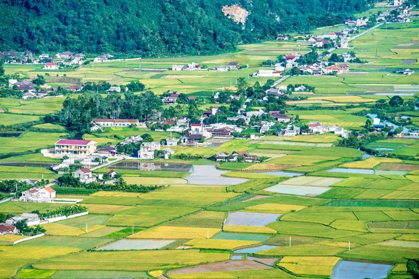 Rural area in Vietnam