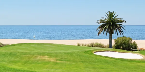 Panoramic views of the golf course to the sea and palm trees. Po