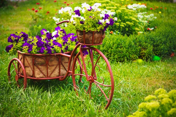 Decorative Bicycle In Garden