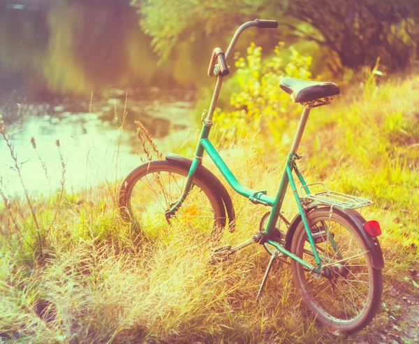 Little green bicycle standing on green summer meadow