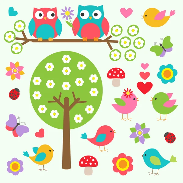 Birds and owls in spring forest