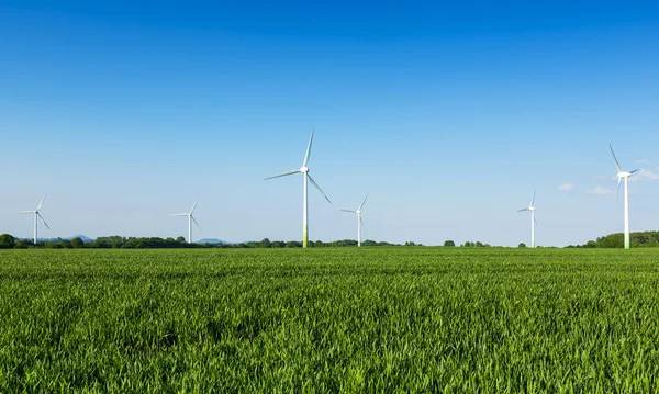 Windmills field farming windmill wind-turbine wind farm electricity energy economy eco bio