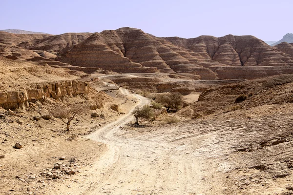 Dusty Road In The Negev Desert