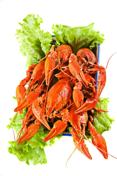 Lobsters with salad