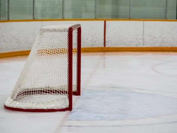 Empty hockey net