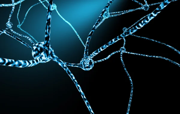 Nerve Cells And Neuronal Network