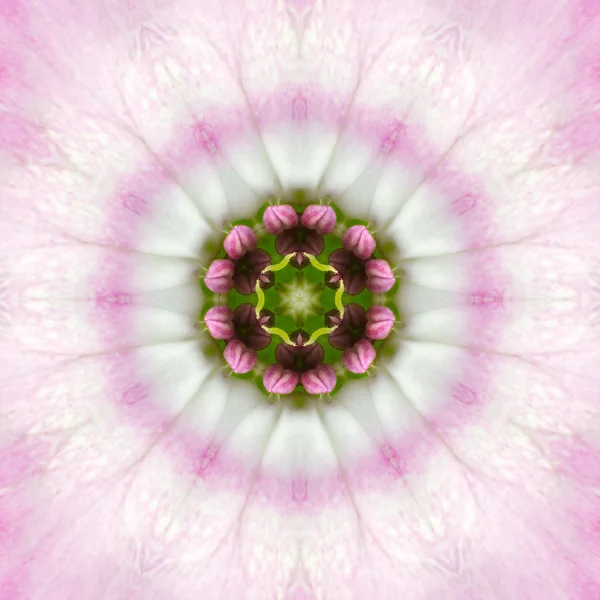 Pink Mandala Concentric Flower Center Kaleidoscope