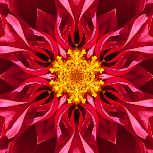 Red Mandala Concentric Flower Center Kaleidoscope
