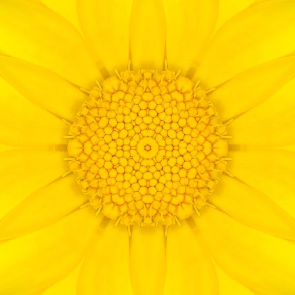 Yellow Mandala Concentric Flower Center Kaleidoscope