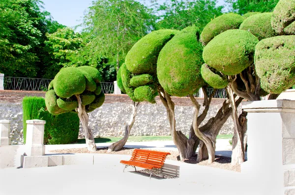 Trees and bench at park of the Pleasant Retreat in Madrid