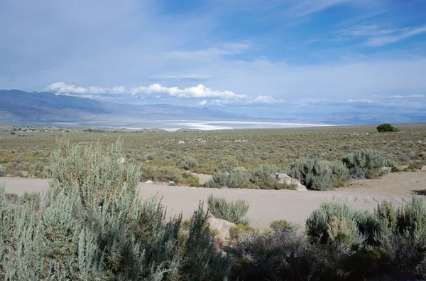 Landscape of desert in Nevada, USA