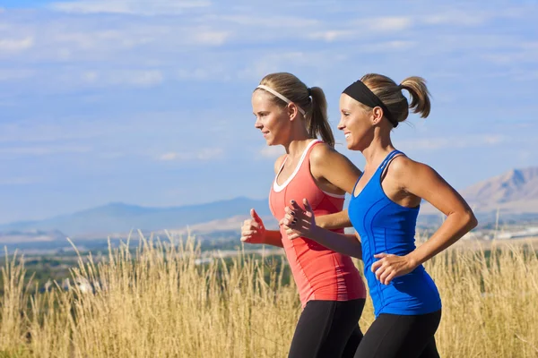 Two beautiful middle-aged female joggers training for a marathon