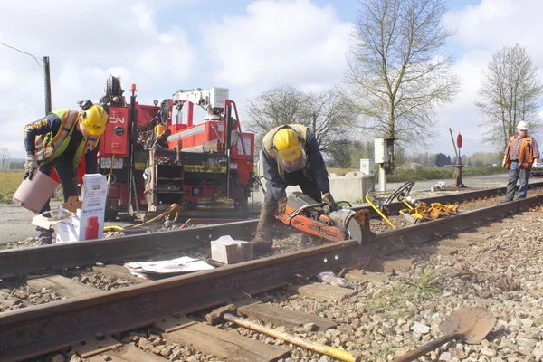 CN Crew Repairing Railway Track
