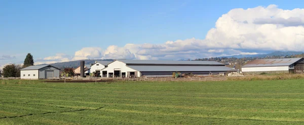 Southern British Columbia Dairy Farming