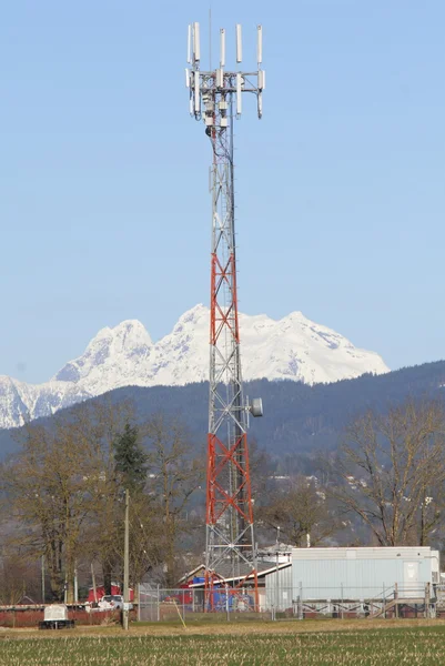 Microwave Tower in Rural Area