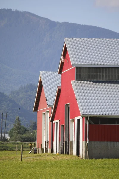 Front Profile of Farm Building