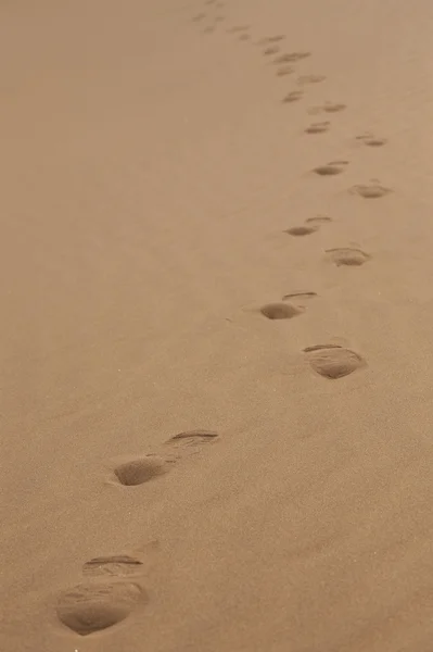 Sands with a trail of footprint