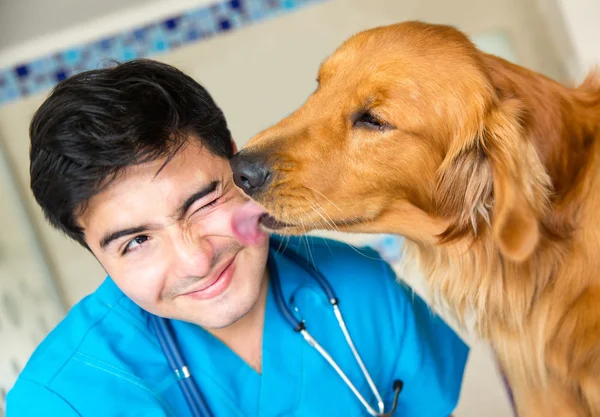 Dog kissing the vet