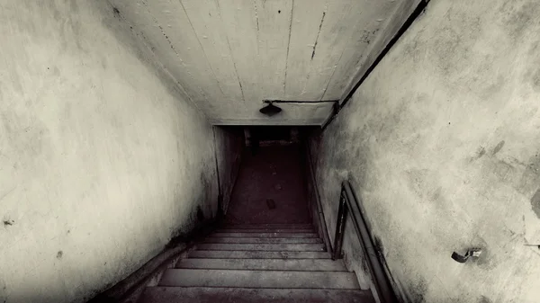 Stairs leading down to dark basement in gritty black and white