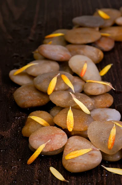 Yellow gerbera petals on wet yellow river stone