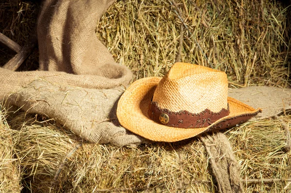 Cowboy hat lying on straw.