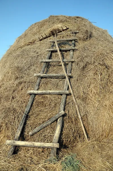 Rakes and stairs to the haystack
