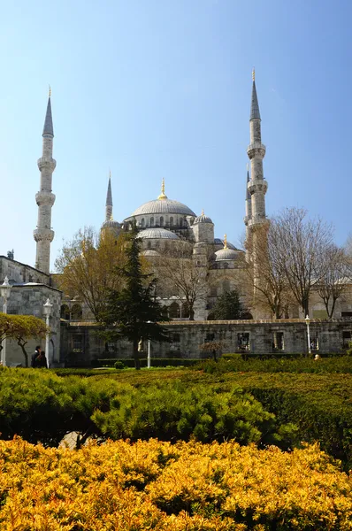 Blue Mosque (Sultanahmet Camii).