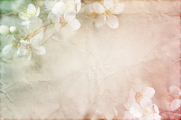 Gentle spring grunge texture with flowers on old paper with pastel colors