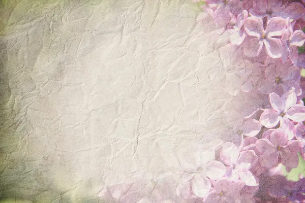 Gentle spring grunge texture with flowers blossoming lilac on old paper with pastel colors