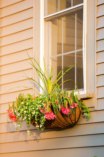 Flower Box with Coco Liner with nice arrangement infront of the