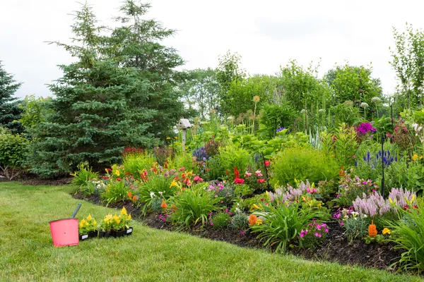Planting new flowers in a colorful garden