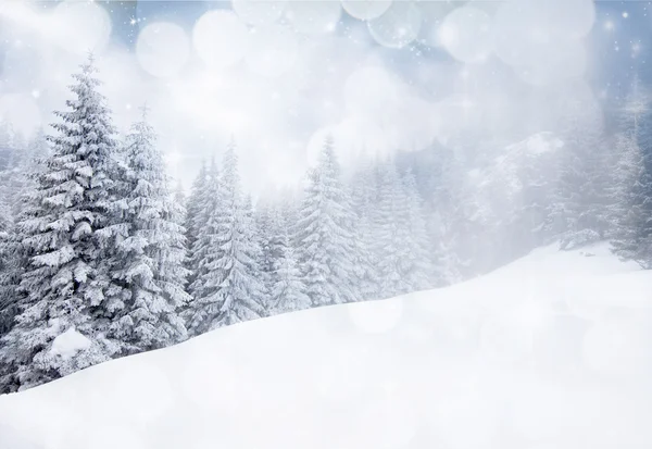 Christmas background with snowy fir trees