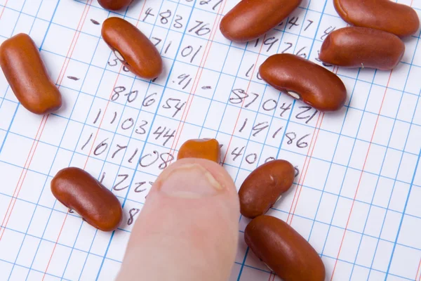 Finger Tip Kidney Beans on Ledger Book Accounting