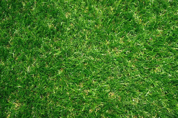 Artificial Grass Field Top View Texture