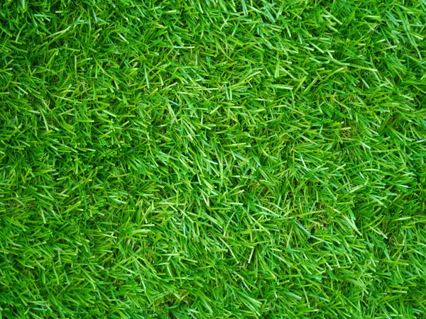 Artificial Grass Field Top View Texture