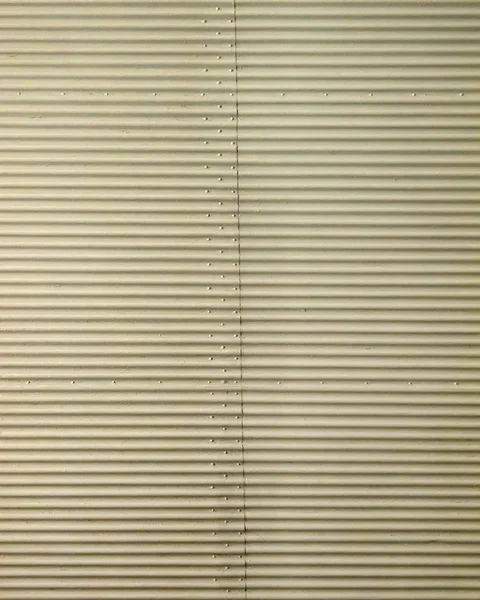 Metal window blinds