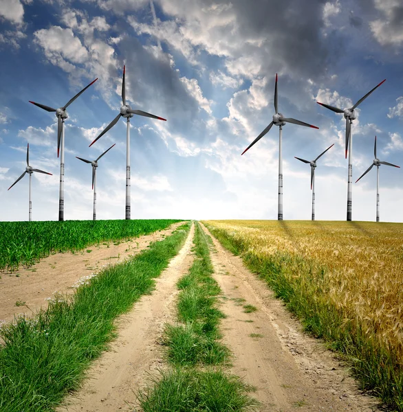 Field way with wind turbines