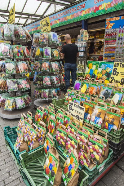 Amsterdam, Netherlands, on July 8, 2014. Sale of plants and seeds in the Flower market of Amsterdam. The flower market - one of known sights of the city