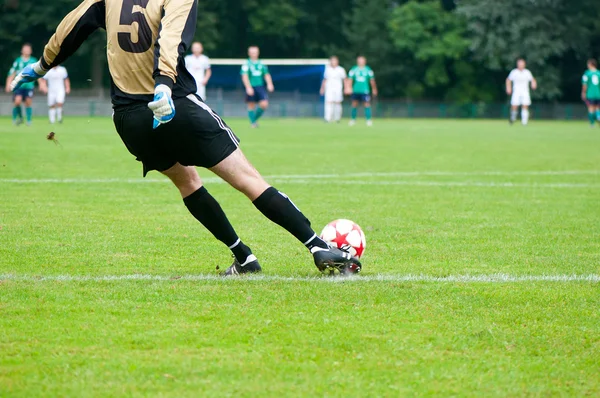 Soccer player kicks the ball. Horizontal image of soccer ball wi