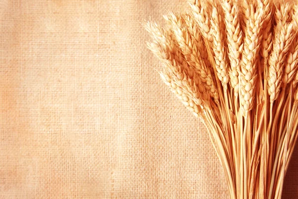 Wheat ears border on burlap background