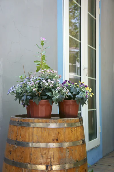 Flowers on wooden barrel