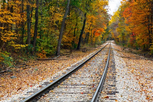 Autumn Railroad Tracks