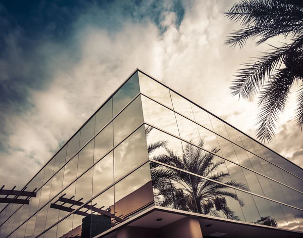 Modern office building with glass mirror window reflecting palm tree