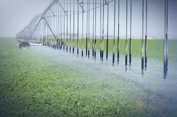 Farm's crop being watered by sprinkler irrigation system