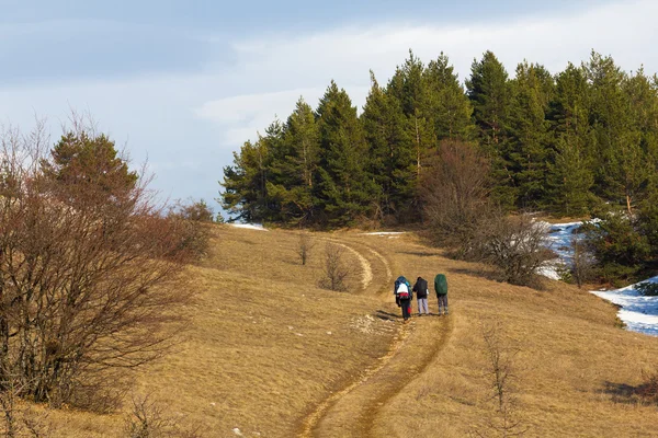 Hikers group in a hike