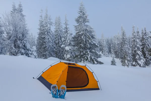 Orange touristic tent in a winter forest