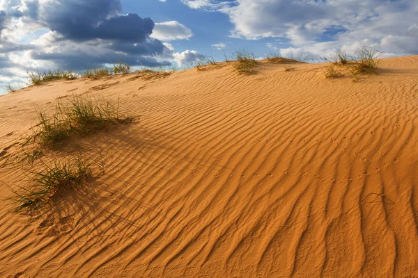 Red sand desert scene