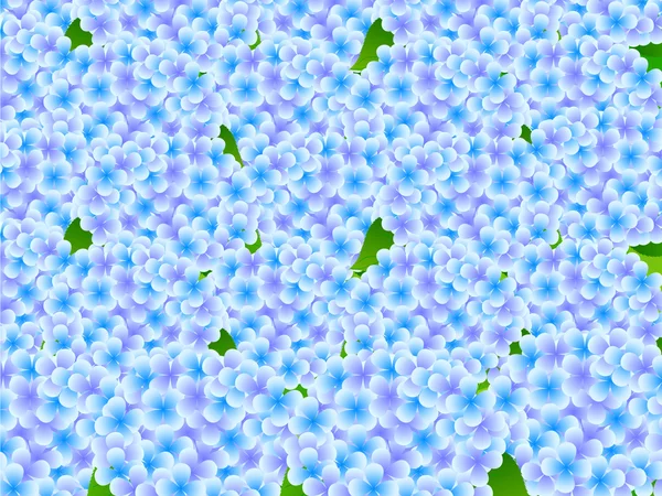 Hydrangea flower background