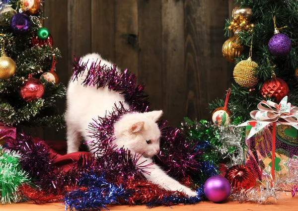 White cat playing with the Christmas
