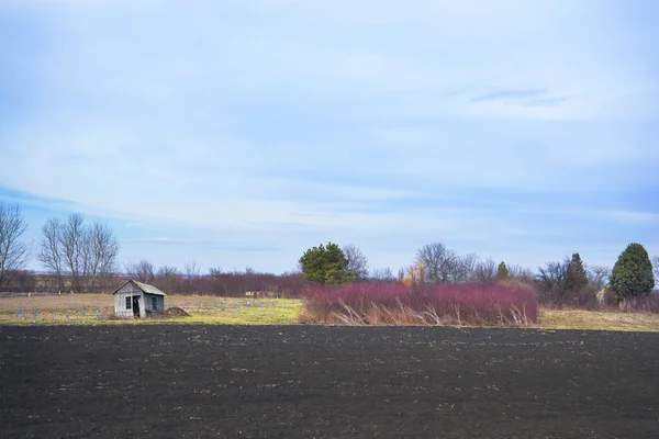 Plowed land and trees